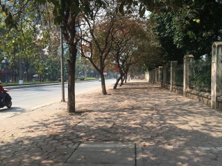 The Cars and Soldiers are Gone for Tet